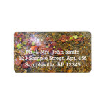 Sycamore Leaves in the Shenandoah River Label