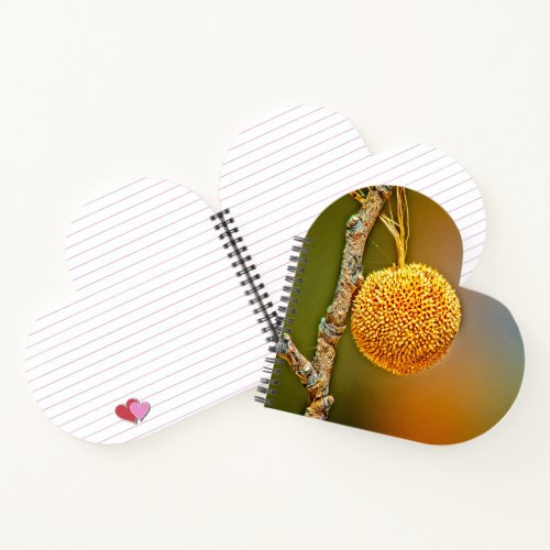 Sycamore Seed Ball Heart Notebook