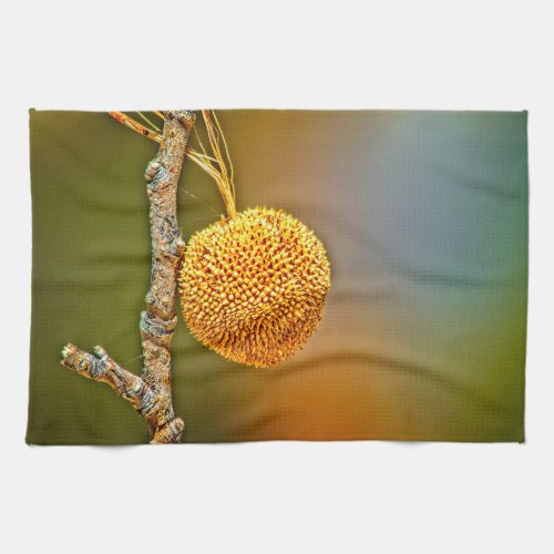 Sycamore Seed Ball  Kitchen Towel