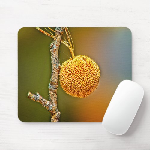 Sycamore Seed Ball  Mouse Pad