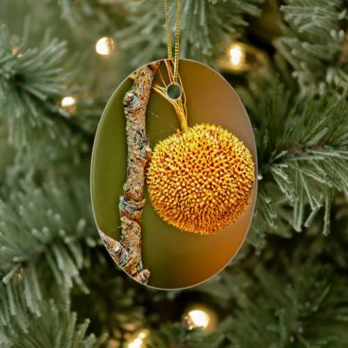 Sycamore Seed Ball Oval Ceramic Ornament