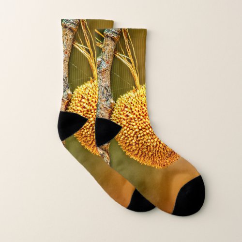 Sycamore Seed Ball  Socks