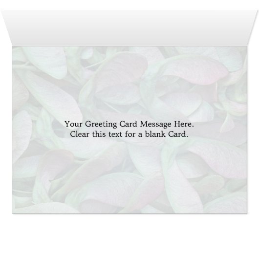 Sycamore seeds (Inside Horizontal (Bottom))