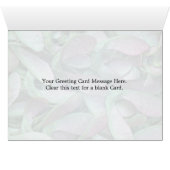 Sycamore seeds cards (Inside Horizontal (Bottom))