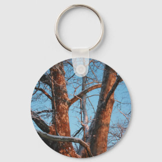 Sycamore Sunrise Keychain