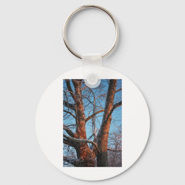 Sycamore Sunrise Keychain (Front)