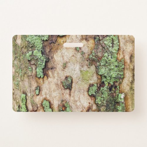 Sycamore Tree Bark Moss Lichen Badge