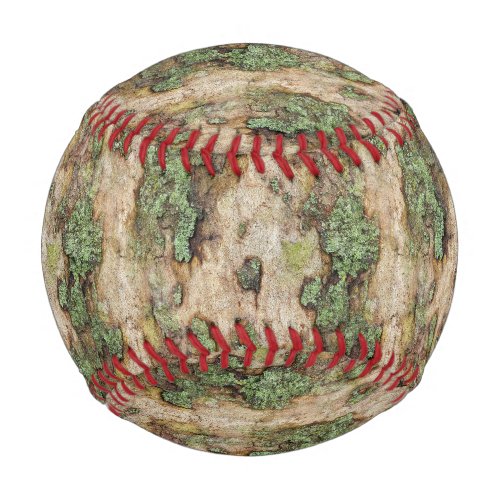 Sycamore Tree Bark Moss Lichen Baseball