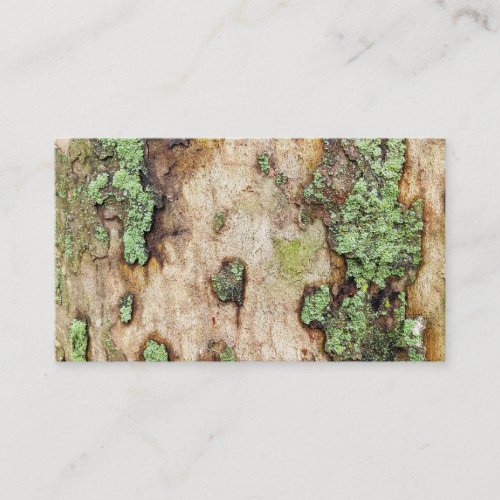 Sycamore Tree Bark Moss Lichen Business Card