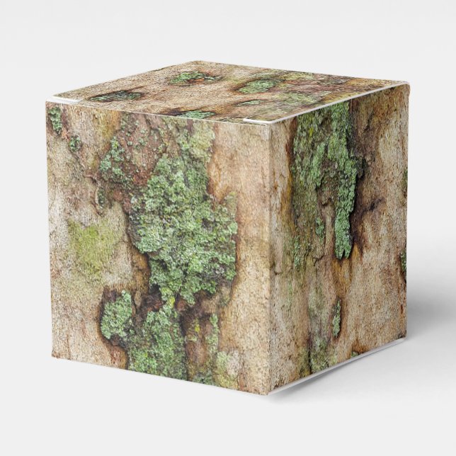 Sycamore Tree Bark Moss Lichen Favor Boxes (Front Side)