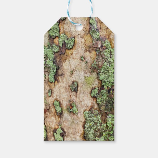 Sycamore Tree Bark Moss Lichen Gift Tags (Front)