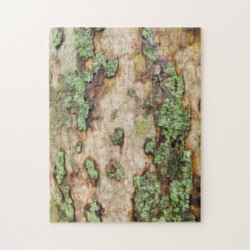 Sycamore Tree Bark Moss Lichen Jigsaw Puzzle
