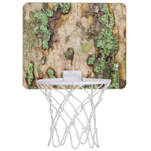Sycamore Tree Bark Moss Lichen Mini Basketball Hoop