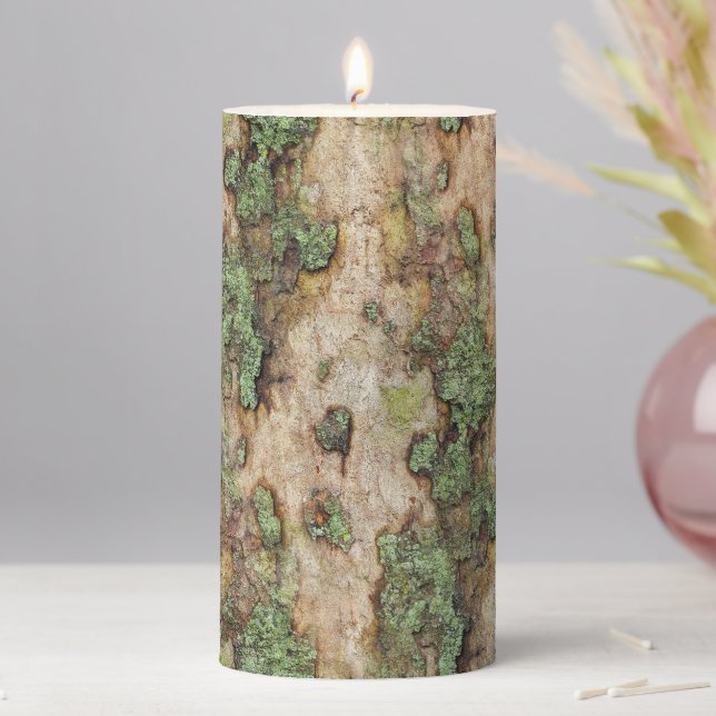 Sycamore Tree Bark Moss Lichen Pillar Candle (In Situ)