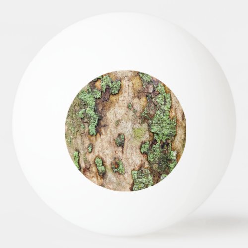 Sycamore Tree Bark Moss Lichen Ping Pong Ball