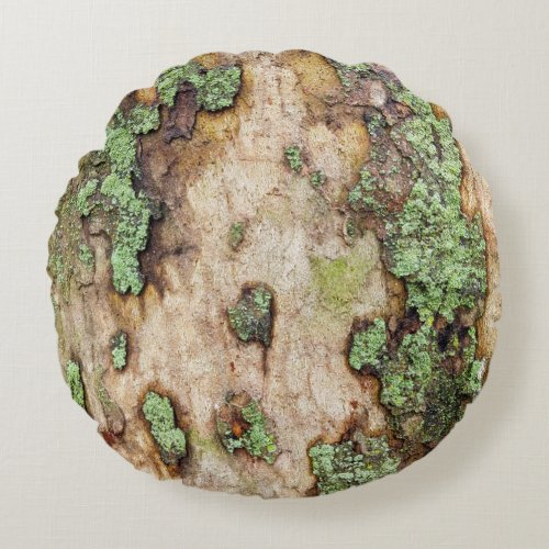 Sycamore Tree Bark Moss Lichen Round Pillow