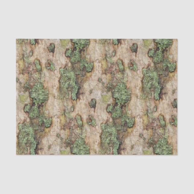 Sycamore Tree Bark Moss Lichen Tissue Paper (Front)