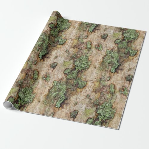 Sycamore Tree Bark Moss Lichen Wrapping Paper