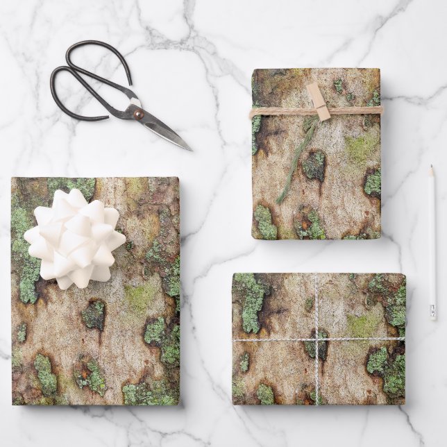 Sycamore Tree Bark Moss Lichen Wrapping Paper Sheets (Front)