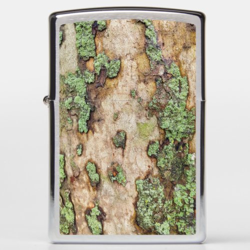 Sycamore Tree Bark Moss Lichen Zippo Lighter