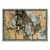 Sycamore tree bark photo (Front Horizontal)