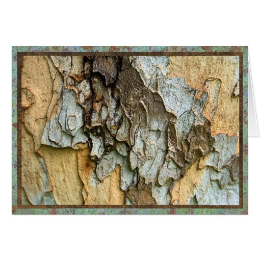 Sycamore tree bark photo cards (Front Horizontal)