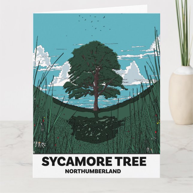 Sycamore Tree Gap Card (Front)
