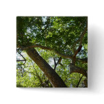 Sycamore Tree Green Nature Button