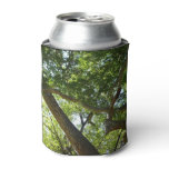 Sycamore Tree Green Nature Can Cooler