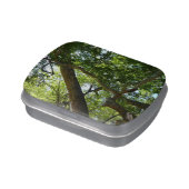 Sycamore Tree Green Nature Candy Tin (Side)
