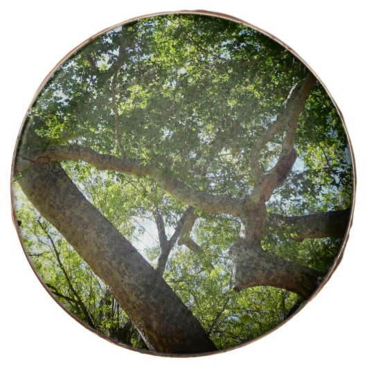 Sycamore Tree Green Nature Chocolate Dipped Oreo (Front)