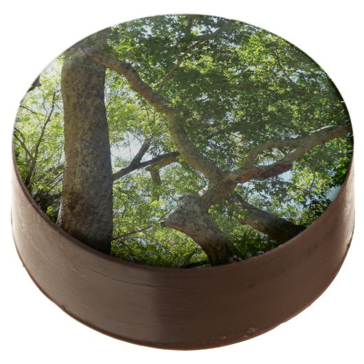 Sycamore Tree Green Nature Chocolate Dipped Oreo (Angled)
