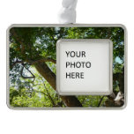 Sycamore Tree Green Nature Christmas Ornament