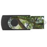 Sycamore Tree Green Nature Flash Drive