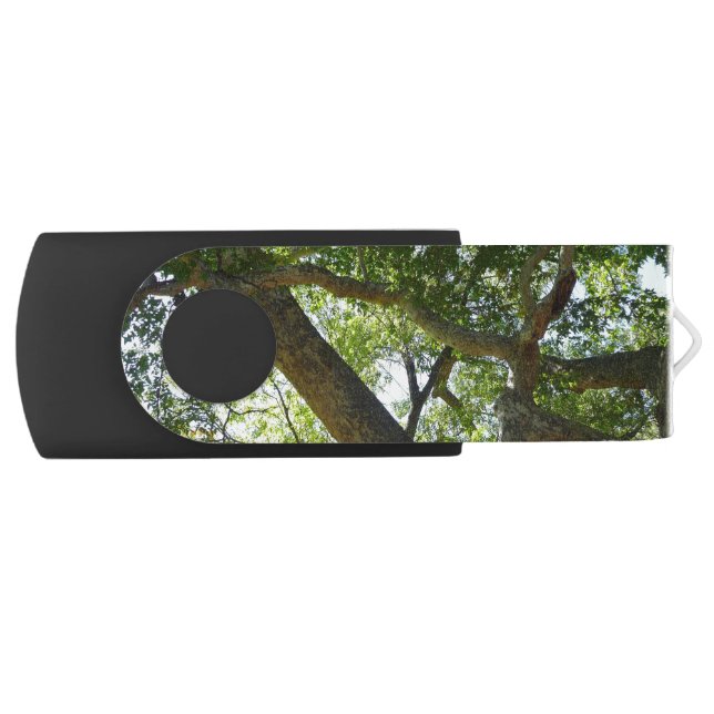 Sycamore Tree Green Nature Flash Drive (Front)