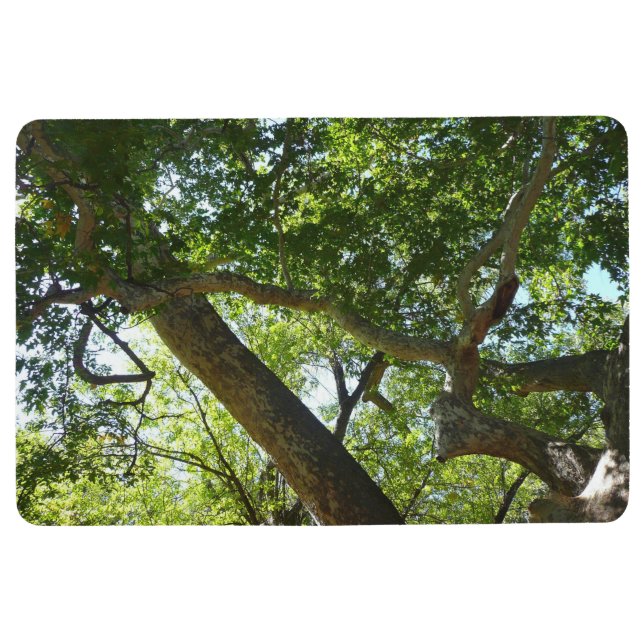 Sycamore Tree Green Nature Floor Mat (Front)