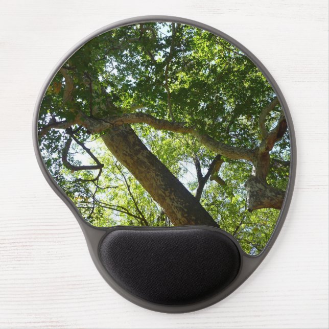 Sycamore Tree Green Nature Gel Mouse Pad (Front)