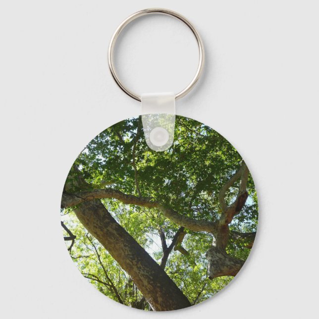 Sycamore Tree Green Nature Keychain (Front)