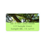 Sycamore Tree Green Nature Label