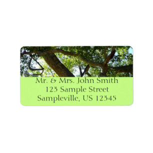 Sycamore Tree Green Nature Label