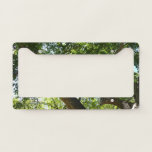 Sycamore Tree Green Nature License Plate Frame