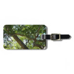 Sycamore Tree Green Nature Luggage Tag