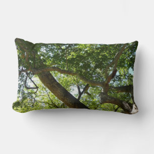 Sycamore Tree Green Nature Lumbar Pillow