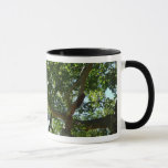 Sycamore Tree Green Nature Mug