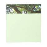 Sycamore Tree Green Nature Notepad