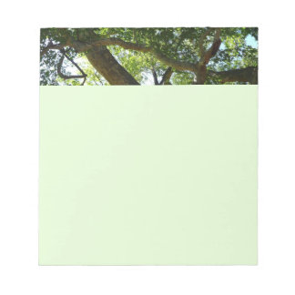 Sycamore Tree Green Nature Notepad