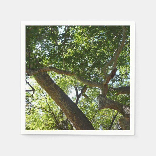 Sycamore Tree Green Nature Paper Napkins (Front)