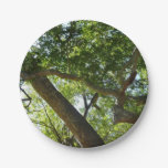 Sycamore Tree Green Nature Paper Plates