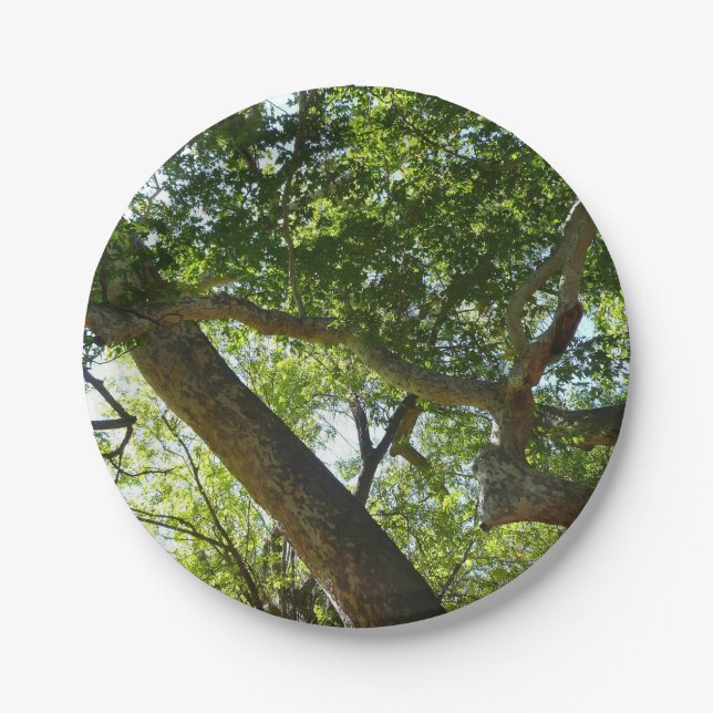 Sycamore Tree Green Nature Paper Plates (Front)