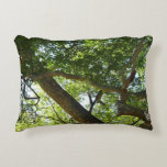 Sycamore Tree Green Nature Photography Accent Pillow
